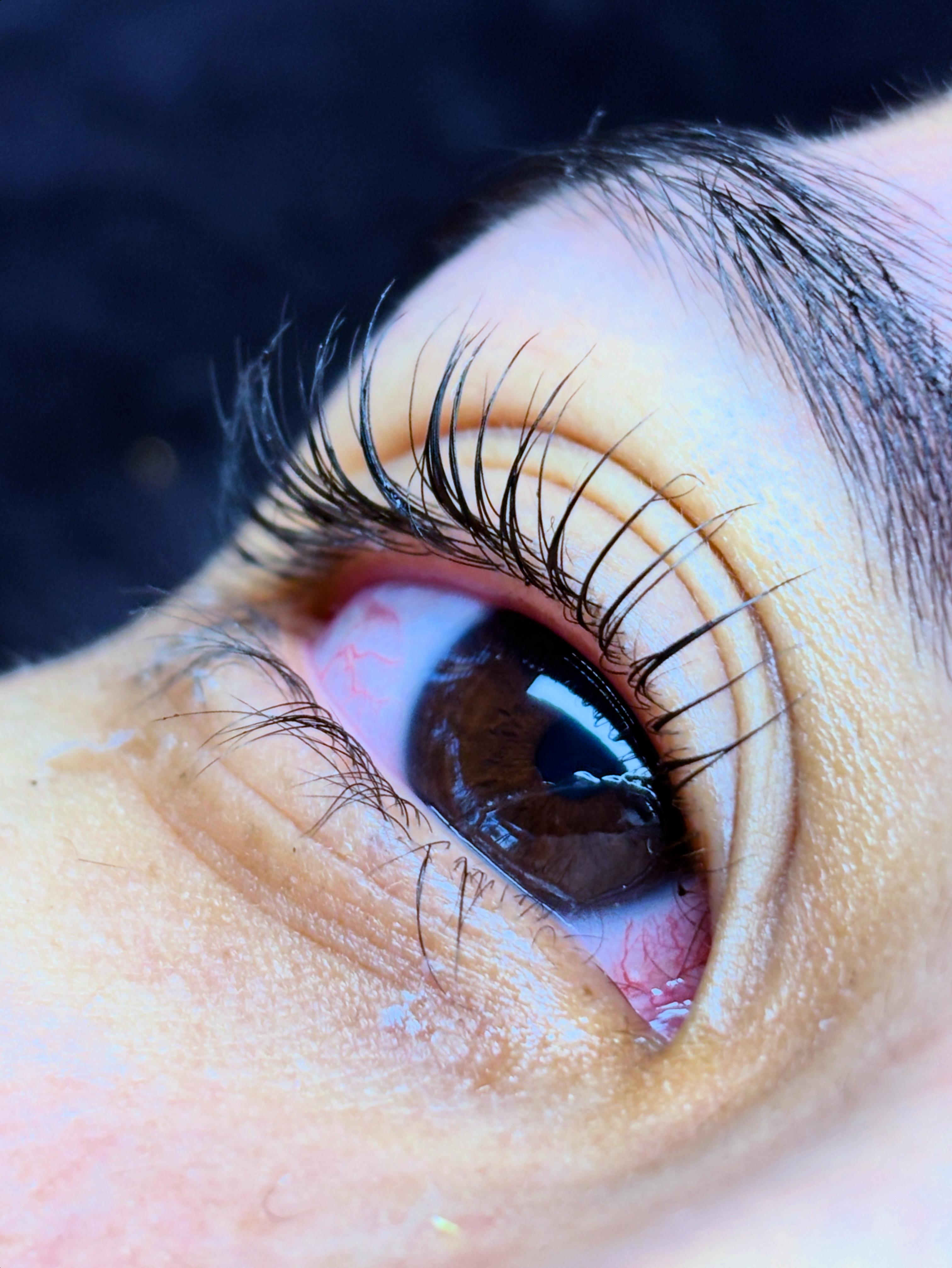 Lashes 2